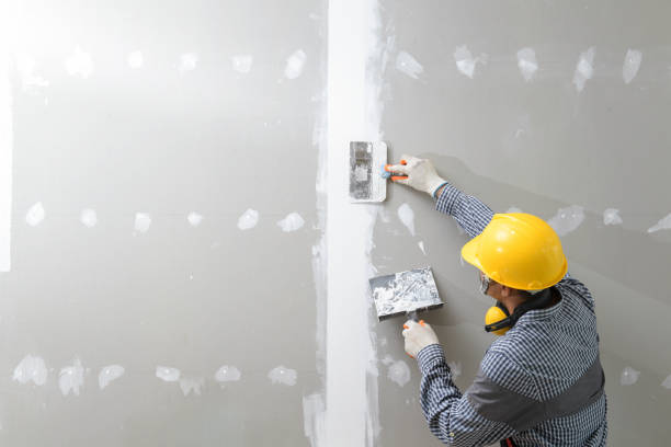 Best Mold Odor Removal Services  in Russellville, AR